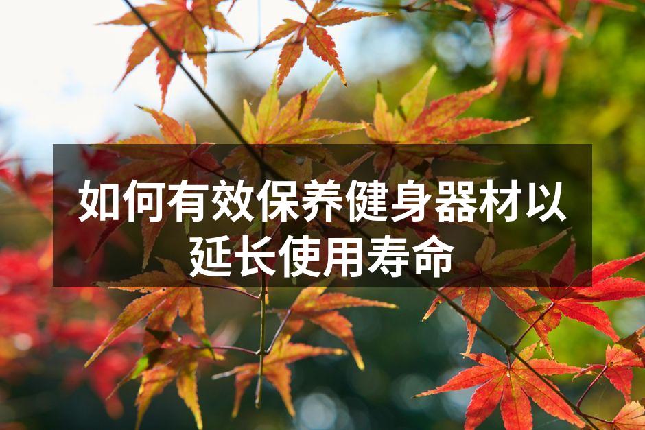 如何有效保养健身器材以延长使用寿命