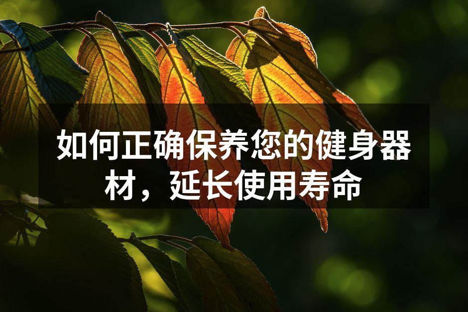 如何正确保养您的健身器材，延长使用寿命