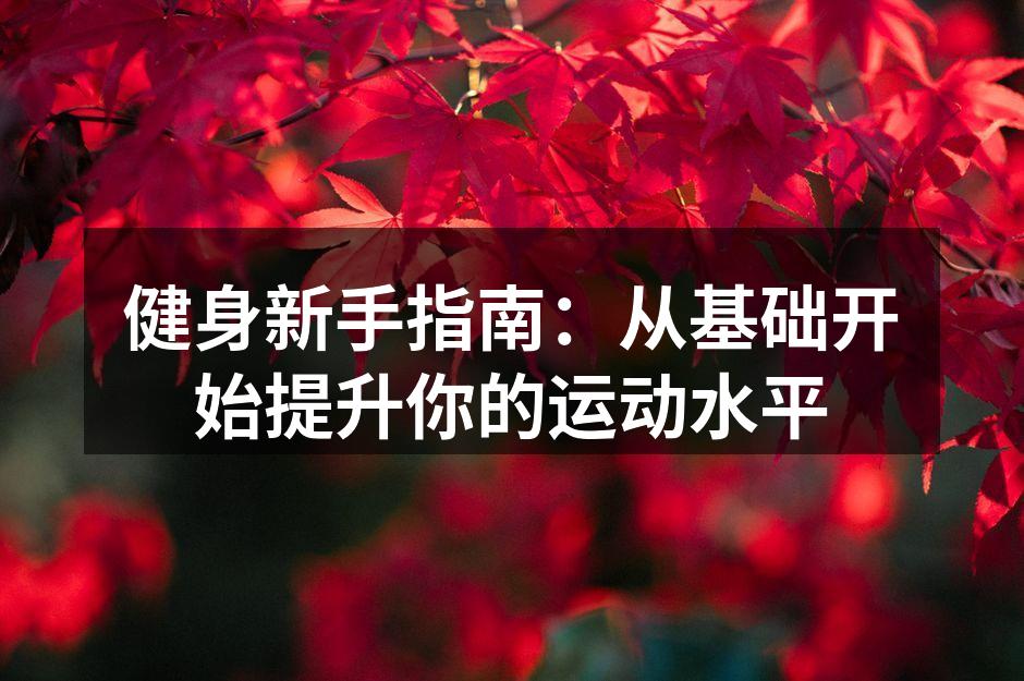 健身新手指南：从基础开始提升你的运动水平